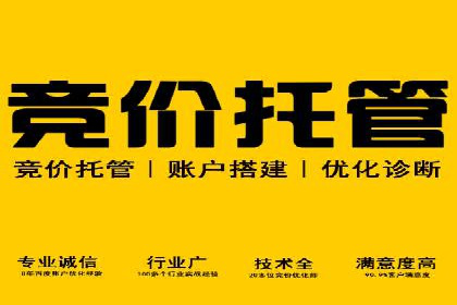 成功案例分享：SEM竞价员如何实现业绩增长